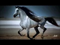 Download Lagu Sergey Grischuk ~ Freedom ~ Szabadság