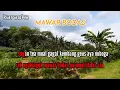 Download Lagu MAWAR BODAS Karaoke Koplo Versi Kendang Rampak