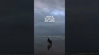 لو تقتحمني عاصفه وتزلزل اركاني رياح     ترند اليوم  أبيات شعر  تيك توك  ترند دندنها