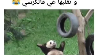 لي تحشم تشطح فالعرس 