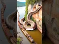 Nature Exploration | Travel Discovered | Train and Amazon Python #shorts #jungle #river