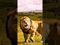 Lagu Kraven The Hunter Edit 🦁 | Aaron Taylor edit 🔥 #edit #hunter #shorts