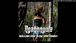 aubrey qwana ngaqonywa william risk slow vibe remix 