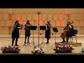 Avicii - Wake Me Up (string quartet cover)