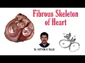 Download Lagu Fibrous Skeleton of Heart | 3D concept in detail | Cardiac Skeleton | Anatomy | Medical