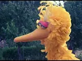 Beastie Boys | Sabotage | Sesame Street Mashup