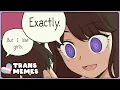 TRANS memes to fall asleep to Trans Wolf Witch VTuber React