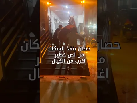 حصان ينقذ السكان من لص خطير اغرب من الخيال 😲😳 #٦٠شو_مع_الدكتور_حاتم_ستين