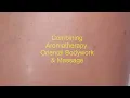 Oriental Massage and Bodywork Galway