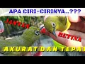 Download Lagu CARA MEMBEDAKAN PLECI JANTAN DAN PLECI BETINA SECARA TEPAT DAN AKURAT YANG PALING MUDAH