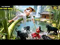 Download Lagu Tiên Vương Bỏ Núi Trở Về Nhà Thấy Cha Già Bị Đám Côn Đồ Đánh Trở Thành Khờ Khạo, Hóa Điên Đi Báo Thù