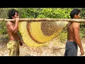 Download Lagu Primitive Technology: Harvest Beehive and Honey by Brave Bushmen