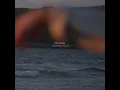 Setting Sail