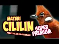Lagu SUPER PREMIUM!!! MASTERAN CILILIN GACOR PANJANG HD SUPER PREMIUM || CILILIN GACOR PANJANG || CILILIN