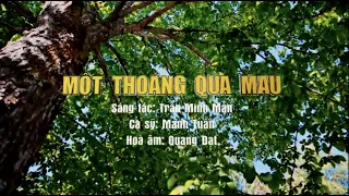Một Thoáng Qua Mau - Mạnh Tuấn