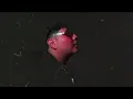 Yeyo - Tentación (Video Oficial)