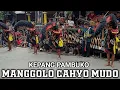 Download Lagu Kesenian Jaranan MANGGOLO CAHYO MUDO Live Rembang Ngadiluwih