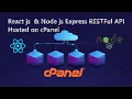 Build and deploy a React js website and Node js Express RESTful API on cpanel