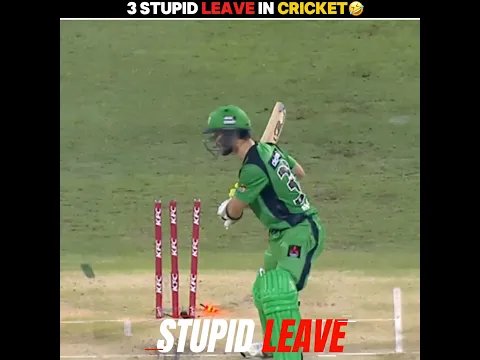 Top 3 Stupid And Funniest Leave In Cricket History #shorts