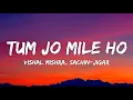 Download Lagu Tum Jo Mile Ho Lyrics - Vicky Vidya Ka Woh Wala Video | Vishal Mishra, Sachin-Jigar