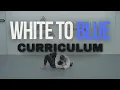 Download Lagu White to blue belt curriculum (Gracie Jiu-Jitsu Singapore)