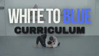 white to blue belt curriculum gracie jiu jitsu singapore 