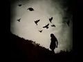 Jose Gonzalez - Far Away [LYRICS]