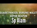 Download Lagu SUARA PANGGIL BURUNG WALET SUPER RESPON original