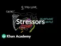 Stressors Processing the Environment MCAT Khan Academy