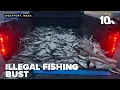 5 men fined 51 000 for illegal fishing bust in Westport Harbor