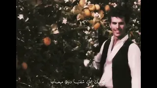 محمد عبده رائعة يكفيك انك شفتها 