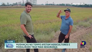 Desafios climáticos: como agricultores protegem suas lavouras?