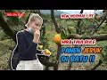 Download Lagu Mba Tina Bule Panen Jeruk Agrowisata Kota Batu !!