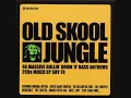 Brown Paper Bag - Roni Size / Reprazent