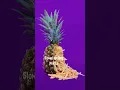 Download Lagu Ace of base - All That She Wants #music #slowed #remix #rek #popular #fyp