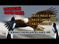 Download Lagu suara elang || Kacer susah on? kacer malas bunyi? lambat panas? coba pake suara ini