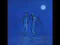 Moonlight Shade