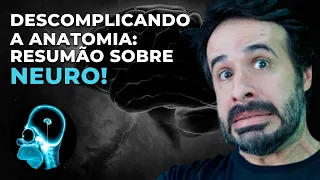 DESCOMPLICANDO A ANATOMIA RESUMÃO SOBRE NEURO