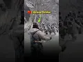 Download Lagu 40+ Chinese Soldiers K#lled By Indian Soldiers At Galwan