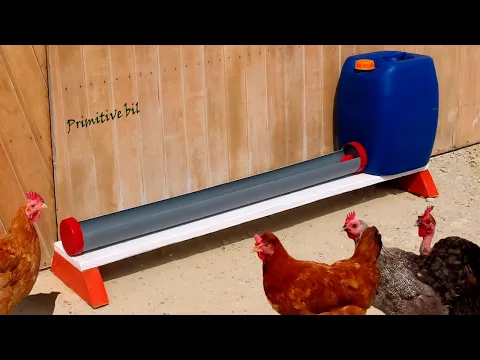 Download MP3 Como hacer bebedero de 30 litros fácil de llenar el agua para gallinas y pollos