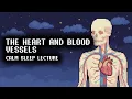 The Circulatory System Explained A Calm 2 5 Hour Sleep Learning Session