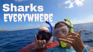 Sharks Everywhere at Fakarava South Pass Ep. 97