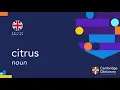 How to pronounce citrus British English and American English pronunciation