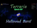 Hallowed Bars Expert Mode Terraria Playthrough Ep 67