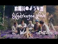 Download Lagu [ENG/JAP] ➕✖️➕ TXT Hydrangea Love (紫陽花のような恋) Fanmade MV (Questioning Film X SRR X Magic Island)