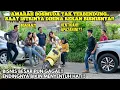 Download Lagu BOS MUDA TAK KUAT MENAHAN AMARAH SAAT ISTRINYA DIHINA REKAN BISNISNYA!! Lihat sampai begini..