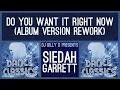 Download Lagu Siedah Garrett - Do You Want it Right Now (Album Version Rework)