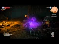 The Witcher 3 Wild Hunt secret troll cave