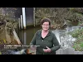 SERC Scientists Speak Climate Change Estuaries