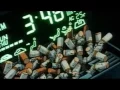 knowmadic - latenights